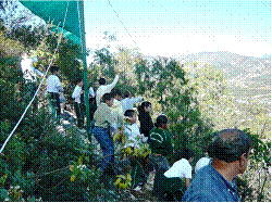 interview-jan10-image006.gif
